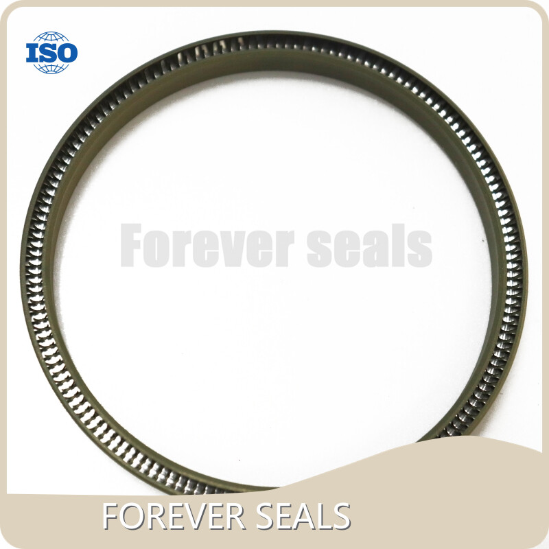 Buy Ptfe Spring Energized Seals Price List 1