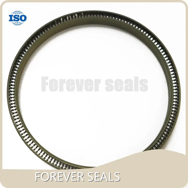 Buy Ptfe Spring Energized Seals Price List 1
