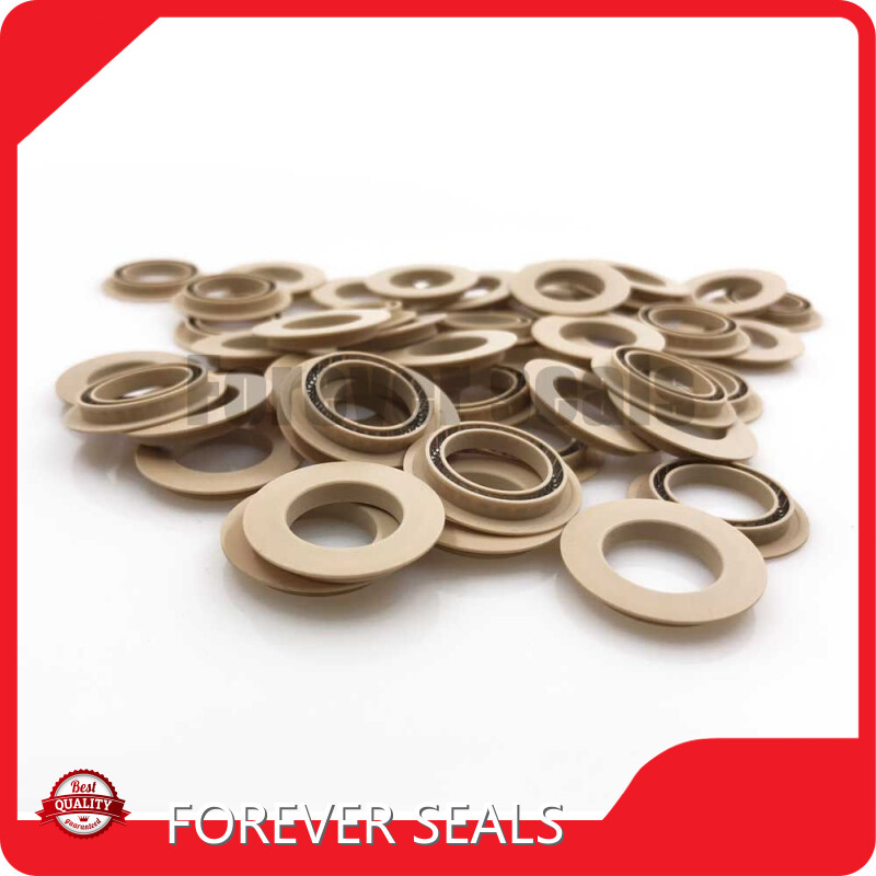 Spring Loaded Seal Products Wholesale - FOREVER SEALS 1