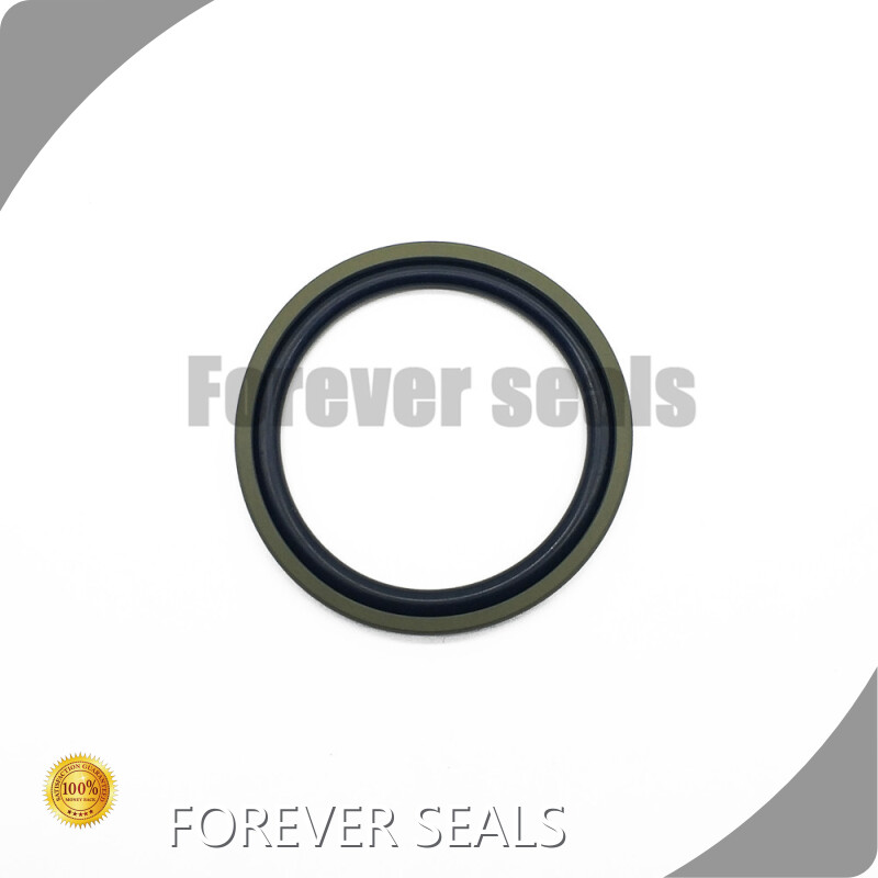 Hydraulic Oil Seal by FOREVER SEALS 1