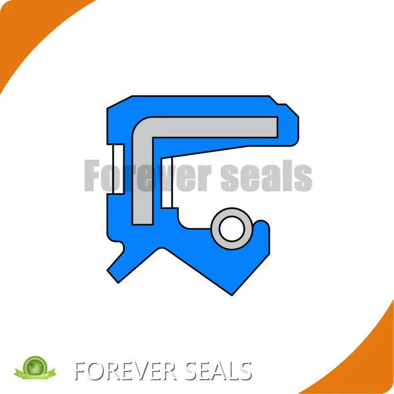 Rotary Shaft Seal by FOREVER SEALS 1