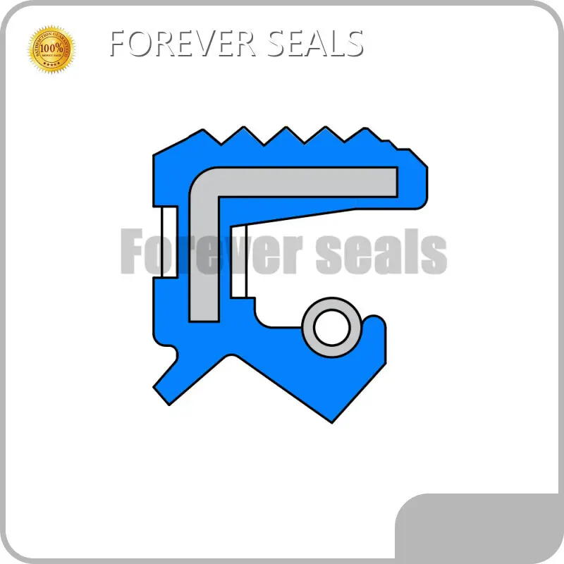 Rotary Shaft Seal Products Wholesale - FOREVER SEALS 1