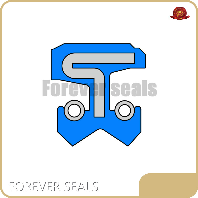 Rubber Seal by FOREVER SEALS-1 1