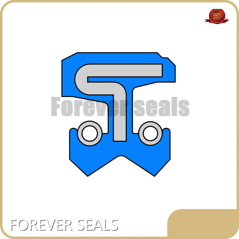 Rubber Seal by FOREVER SEALS-1 1