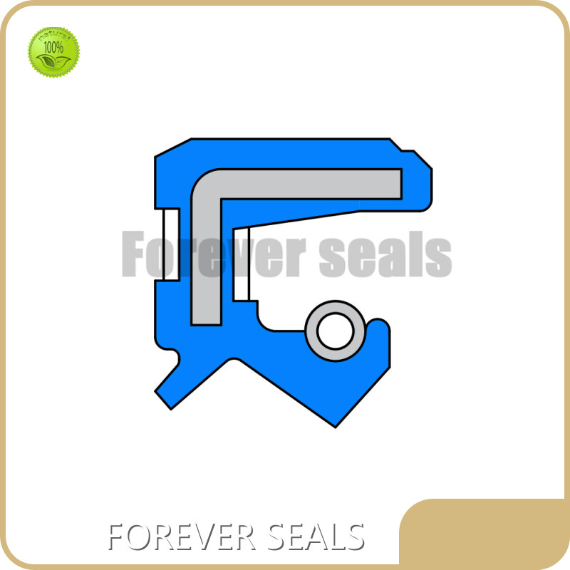 Viton Oil Seal by FOREVER SEALS 1