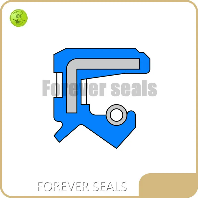 Viton Oil Seal by FOREVER SEALS 1