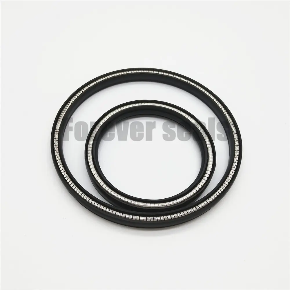 Spring Energized O Ring Spring Energized Seals Wholesale - FOREVER SEALS 2