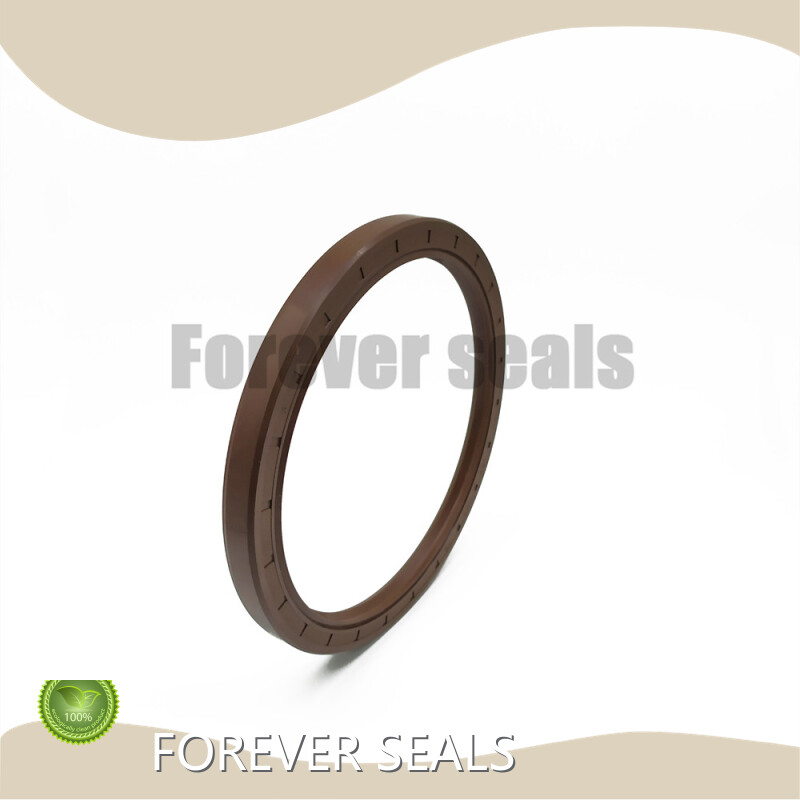 Rubber Seal Ring Manufacturers Oil Seals Wholesale - FOREVER SEALS 1