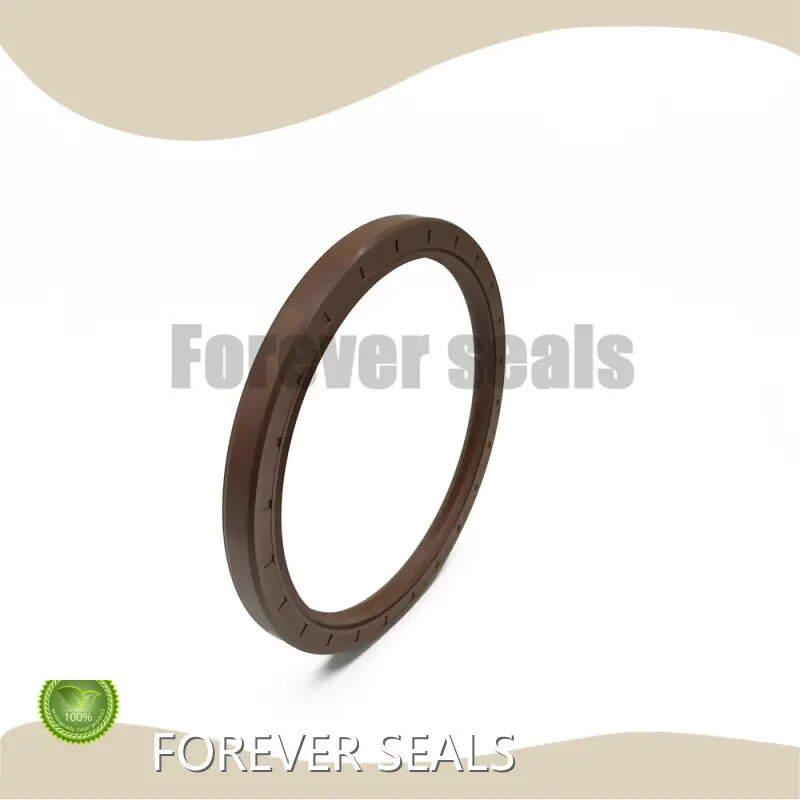 Rubber Seal Ring Manufacturers Oil Seals Wholesale - FOREVER SEALS 1