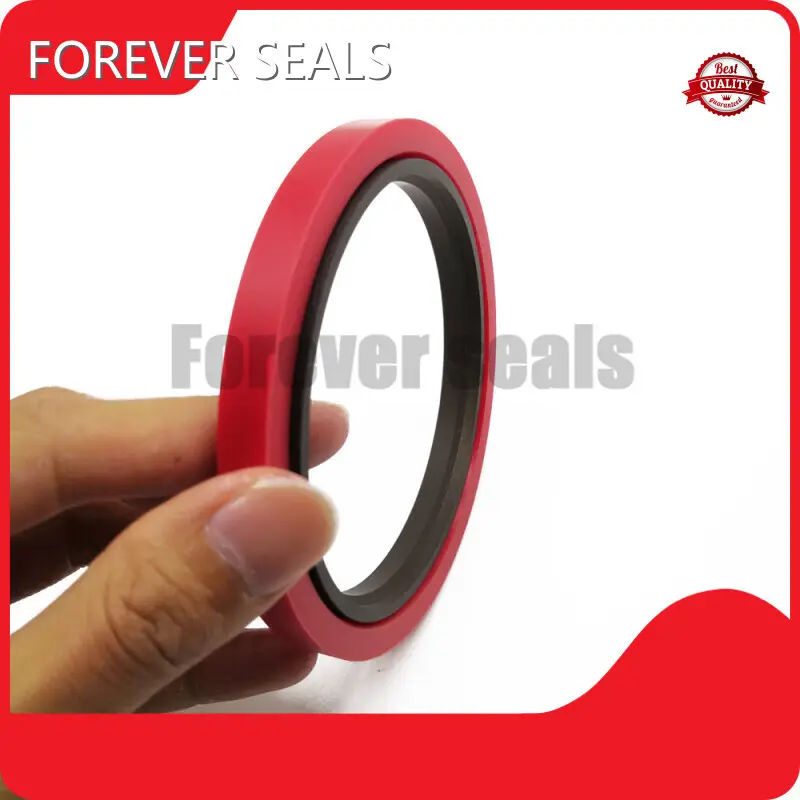 Professional Hydraulic Seal Price List 1
