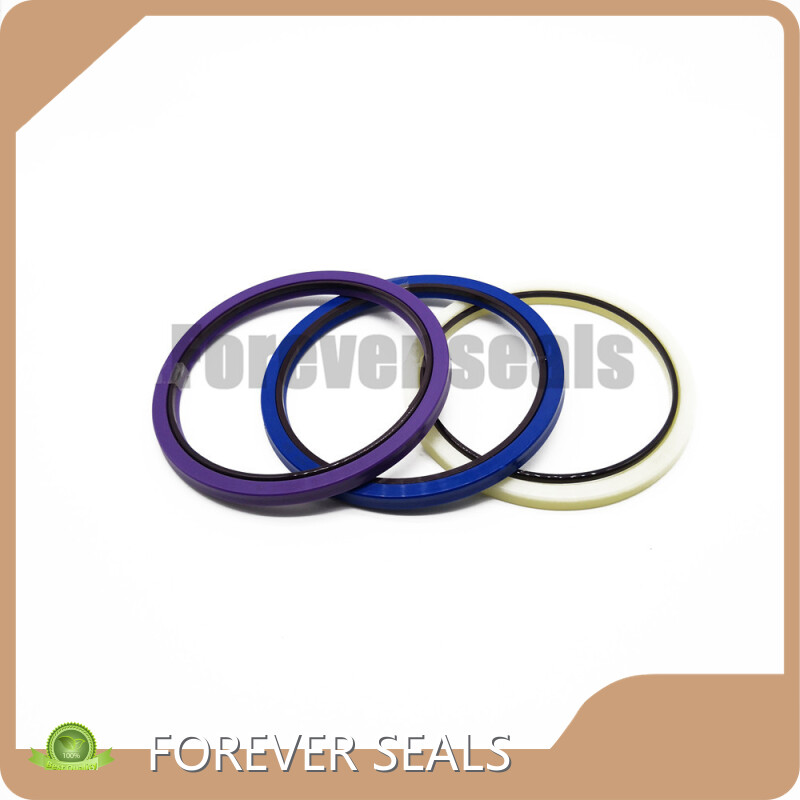 Rubber Seal by FOREVER SEALS-3 1