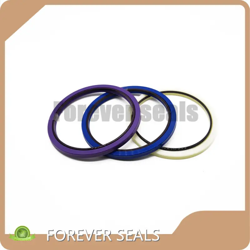 Rubber Seal by FOREVER SEALS-3 1