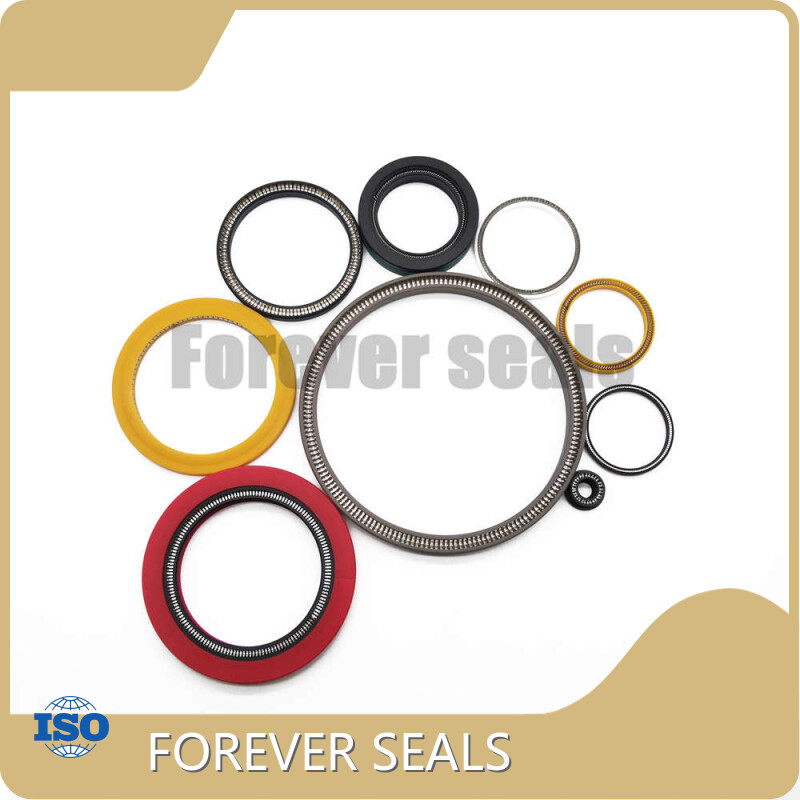 FOREVER SEALS Spring Energized O Ring Price List 1