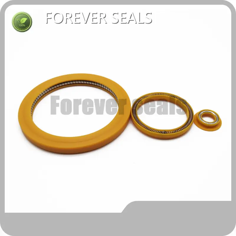 FOREVER SEALS Spring Energised Seal Price List 1