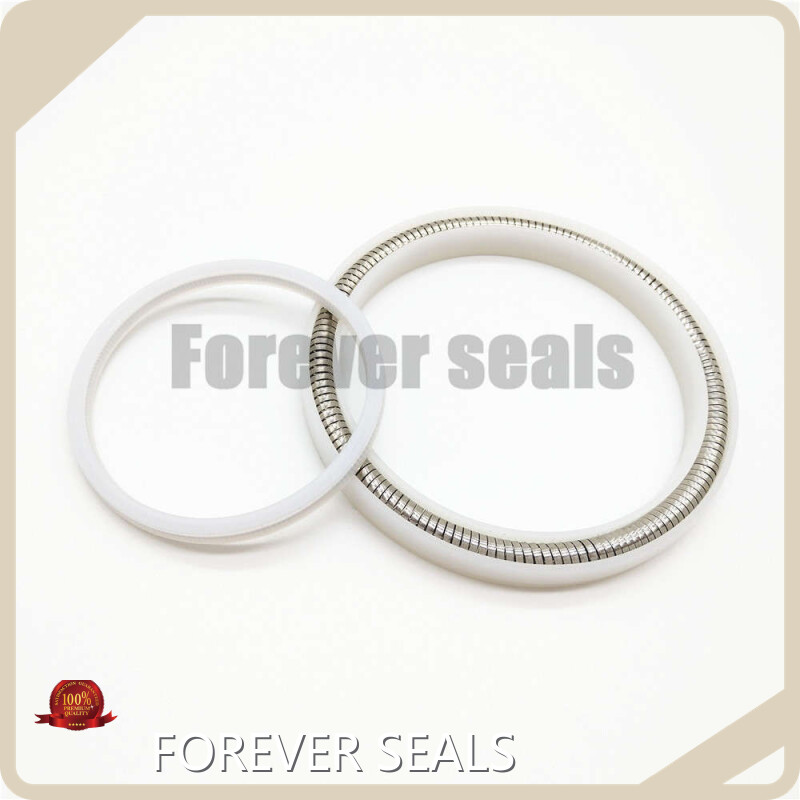 FOREVER SEALS Spring Energized O Ring Price List-1 1