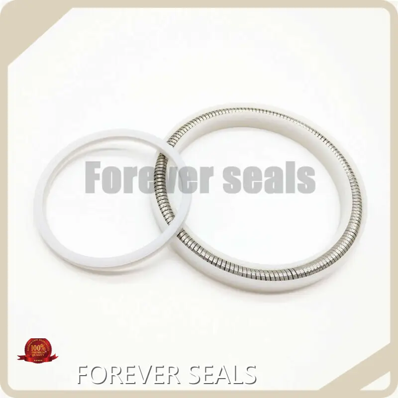 FOREVER SEALS Spring Energized O Ring Price List-1 1