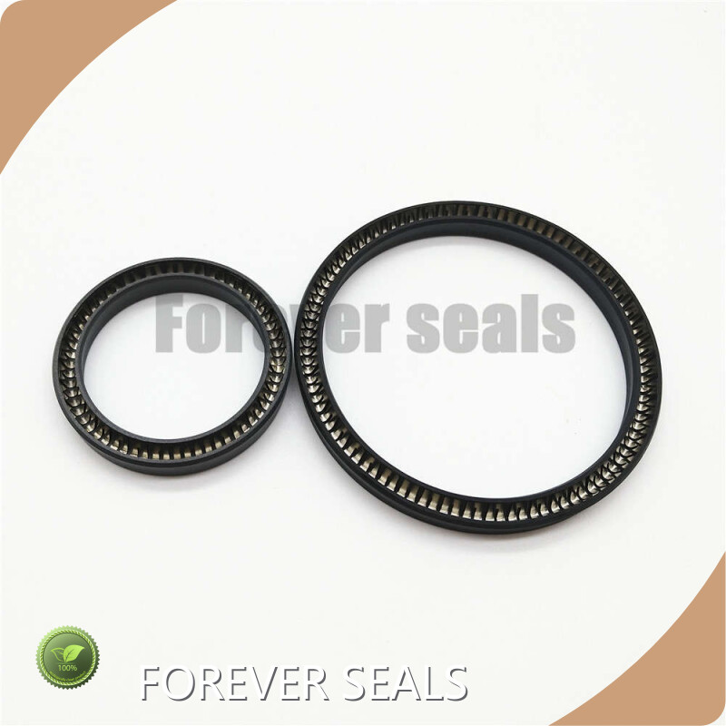 Spring Energized C Ring Spring Energized Seals Wholesale - FOREVER SEALS 1