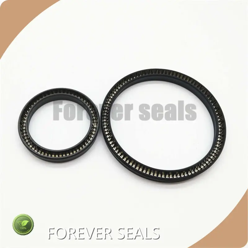 Spring Energized C Ring Spring Energized Seals Wholesale - FOREVER SEALS 1