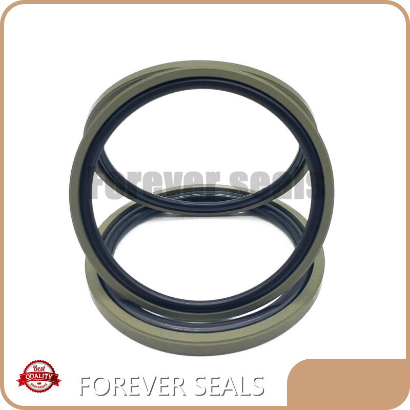 Hydraulic Oil Seal Hydraulic Seals Wholesale - FOREVER SEALS 1