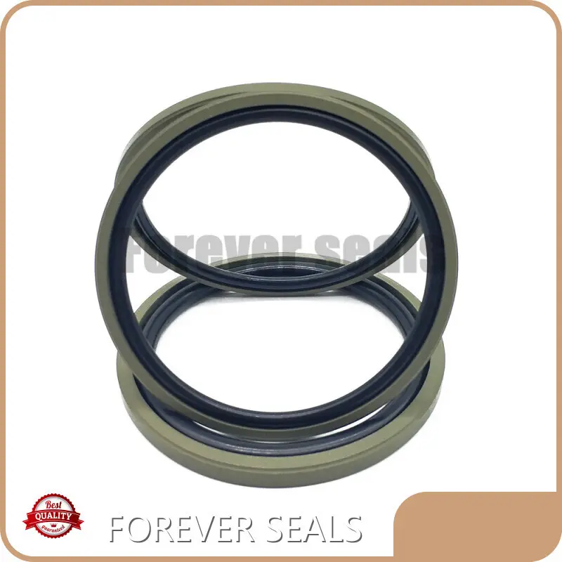 Hydraulic Oil Seal Hydraulic Seals Wholesale - FOREVER SEALS 1