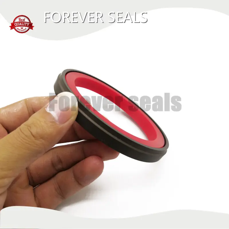 Ptfe Piston Seals by FOREVER SEALS 1