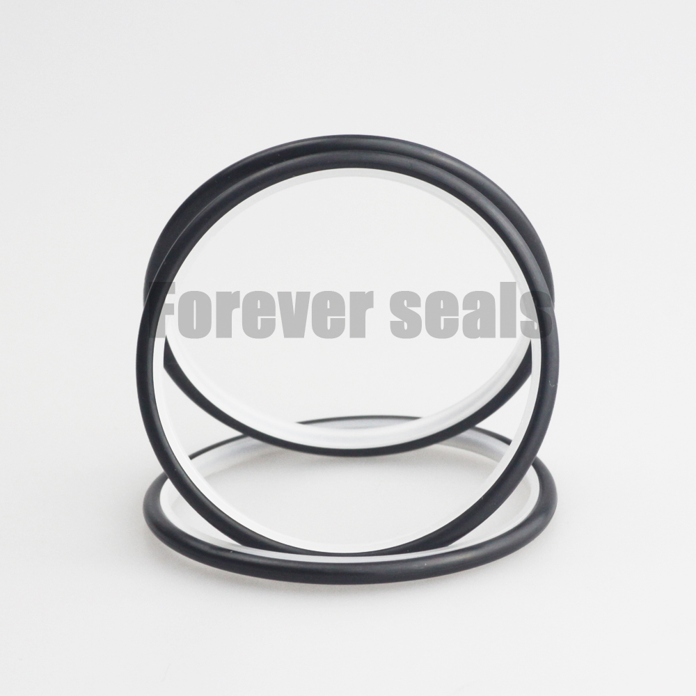 Sello SPNC Premium: Anillo de desgaste de PTFE con junta tórica de NBR 3