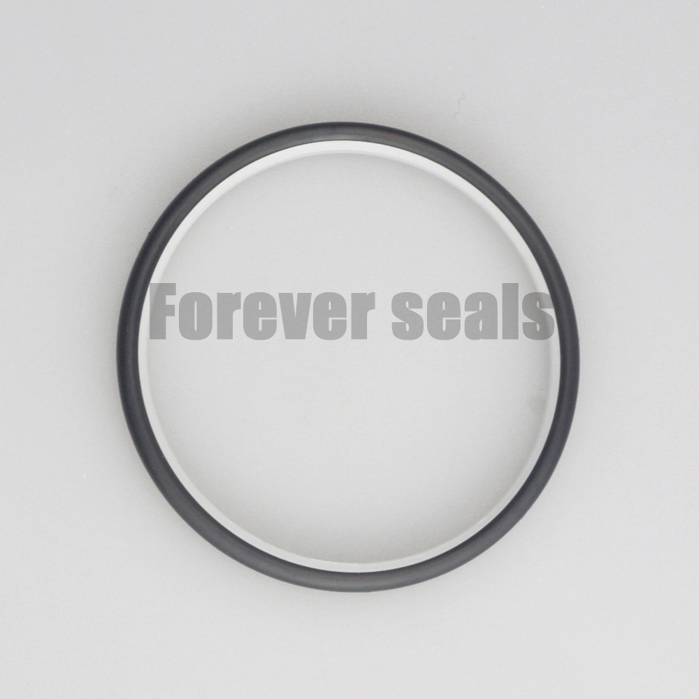 Premium SPNC Seal: PTFE Wear Ring with NBR O - Ring 1
