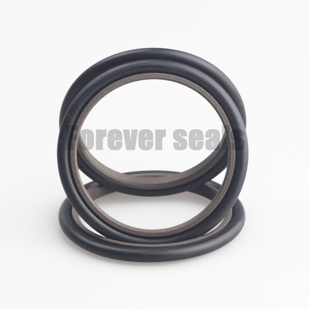 Sello SPNO de alta calidad con anillo de desgaste de PTFE de bronce (BT12) y junta tórica 2
