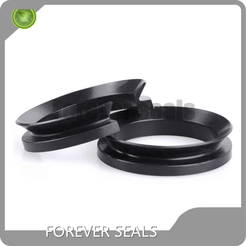 Hydraulic Oil Seal Rotary Seals Wholesale - FOREVER SEALS 1