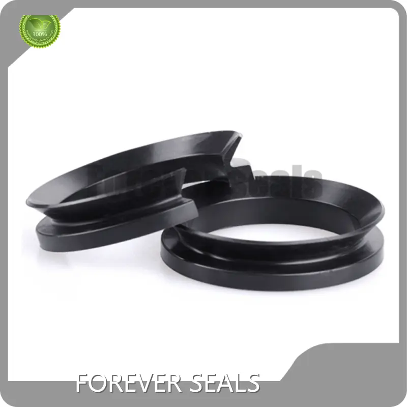 Hydraulic Oil Seal Rotary Seals Wholesale - FOREVER SEALS 1