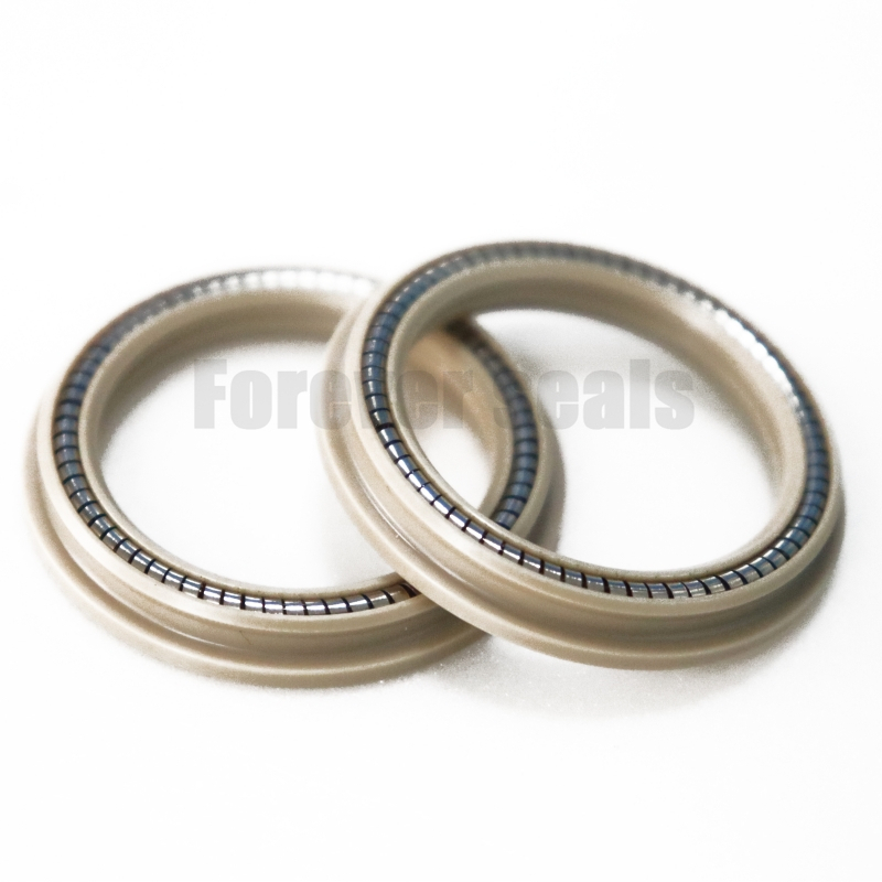 Trelleborg - Standard TVM Spring Energized Seals 1