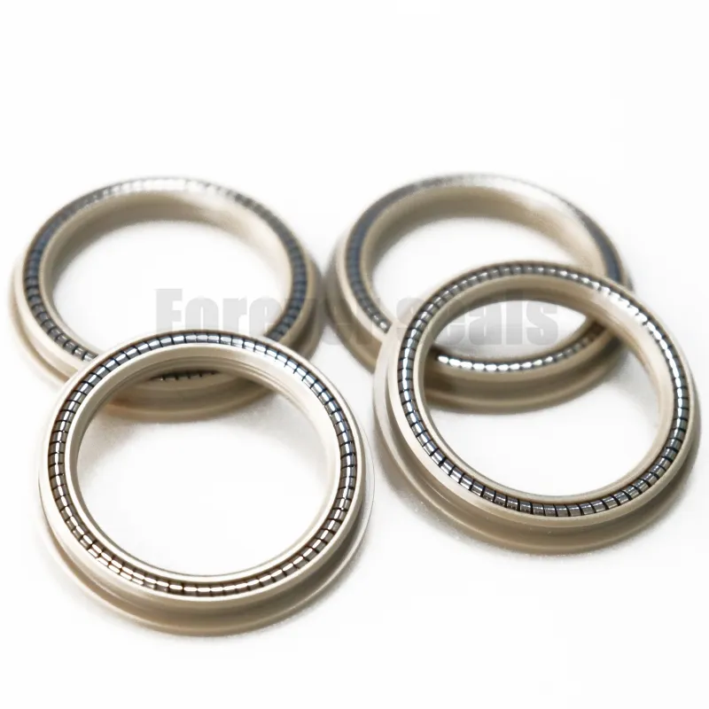 Spring Energised Seal Spring Energized Seals Wholesale - FOREVER SEALS 2