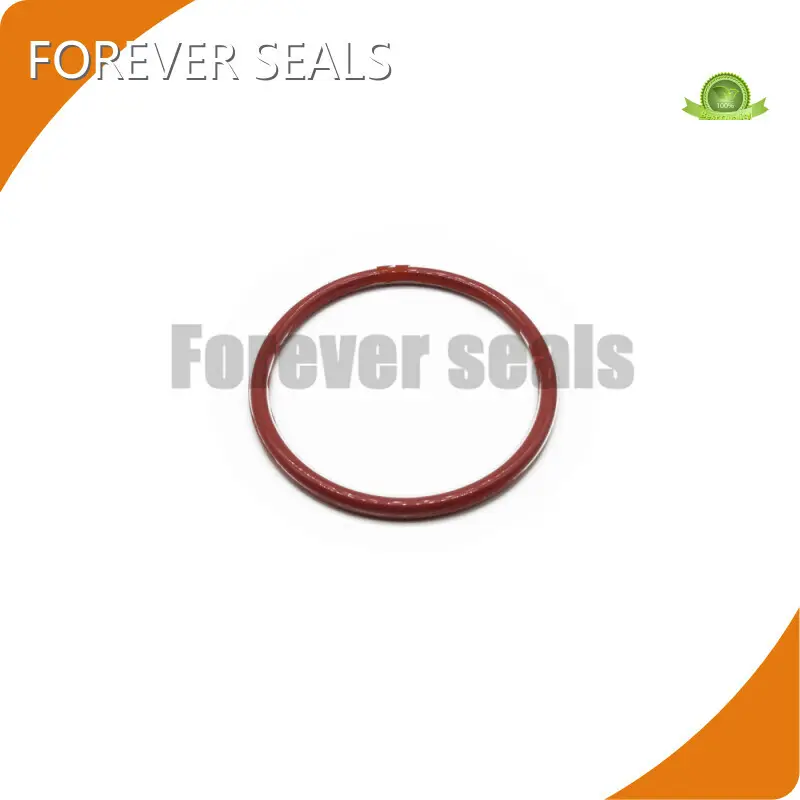 Fkm O Rings by FOREVER SEALS 1