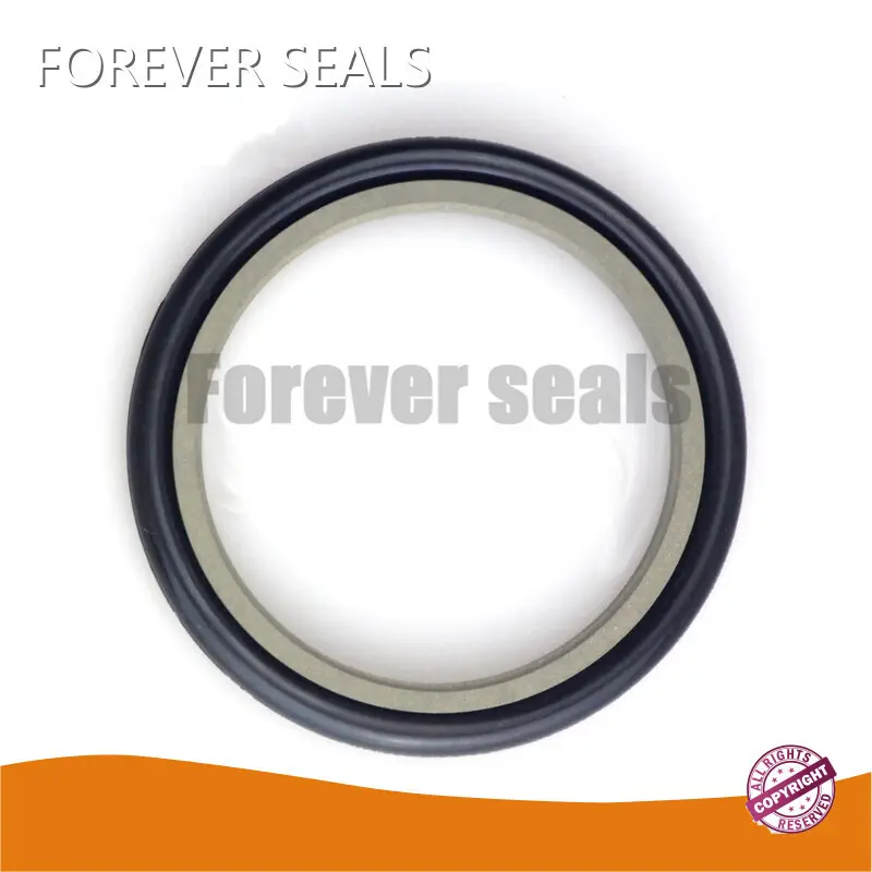Rod Seal Types by FOREVER SEALS 1