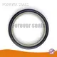Rod Seal Types by FOREVER SEALS 1