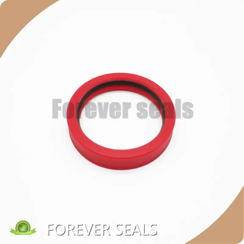 Rod Seals by FOREVER SEALS 1