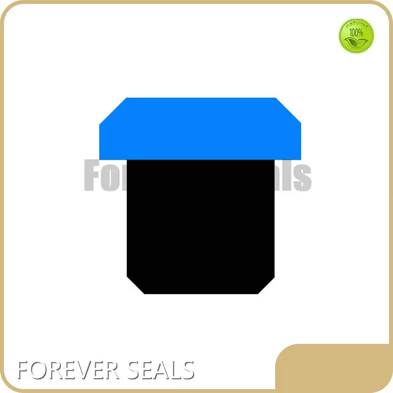 Piston Seal Manufacturers by FOREVER SEALS 1