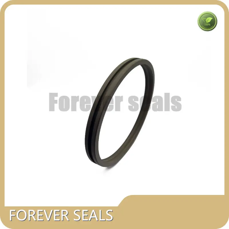 Oil Seal Manufacturer Piston Seals Wholesale - FOREVER SEALS 1