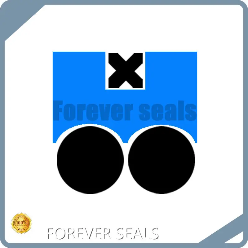 Hydraulic Seals Pneumatic Piston Seals Company 1