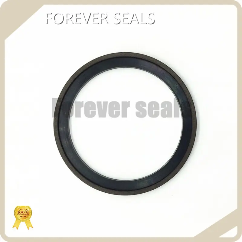 Hydraulic Piston Seal Design by FOREVER SEALS 1