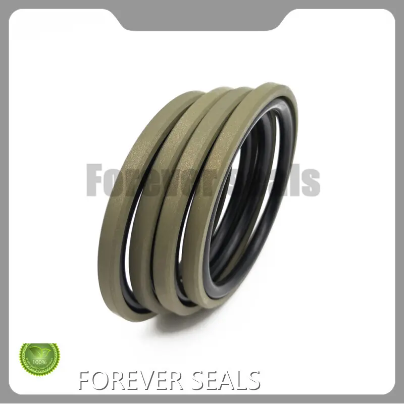 Hydraulic Piston Seal Hydraulic Seals Wholesale - FOREVER SEALS 1