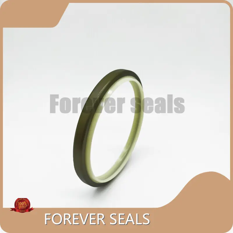 Wiper Seal Types Hydraulic Seals Wholesale - FOREVER SEALS 1