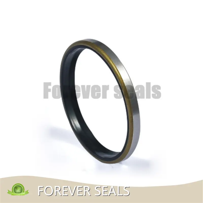 Hydraulic Seals Hydraulic Seals Wholesale - FOREVER SEALS 1