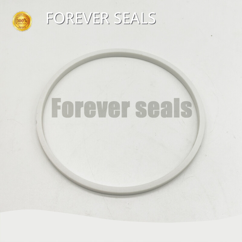 Industrial Seals Manufacturers Products Wholesale - FOREVER SEALS-1 1