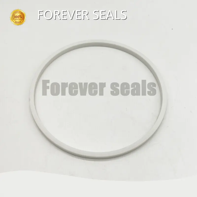 Industrial Seals Manufacturers Products Wholesale - FOREVER SEALS-1 1