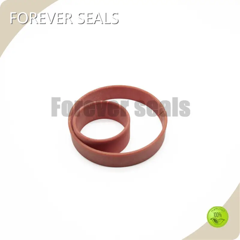 Hydraulic Piston Seal Hydraulic Seals Wholesale - FOREVER SEALS-1 1