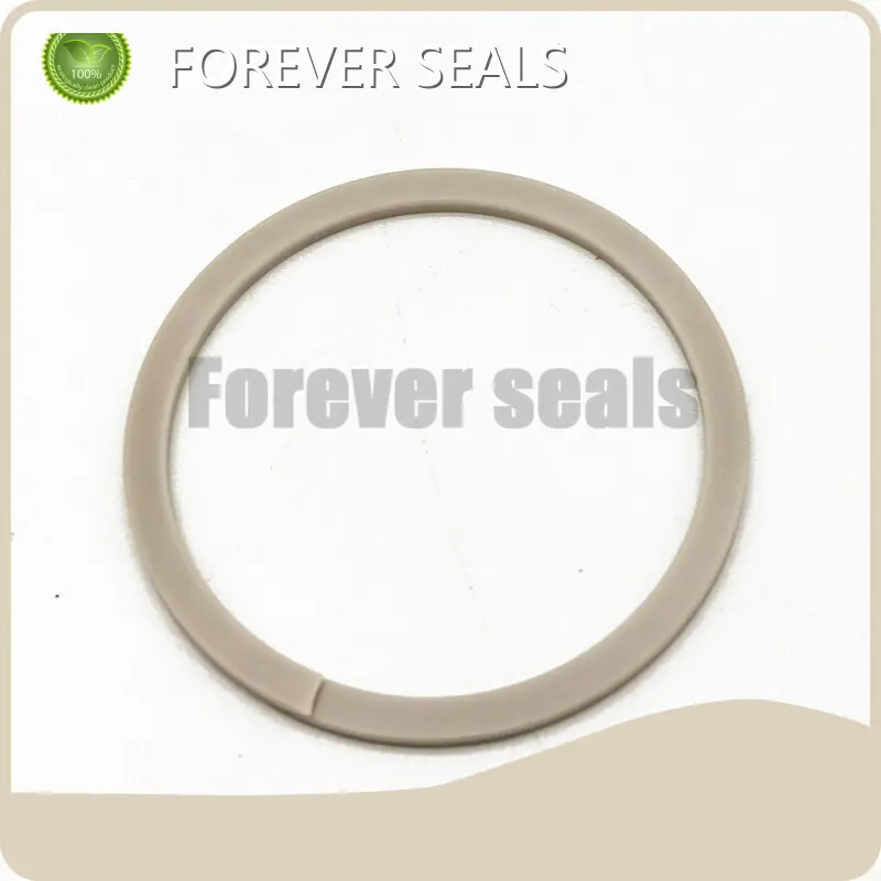 Rubber Seal Ring Manufacturers Hydraulic Seals Wholesale - FOREVER SEALS 1