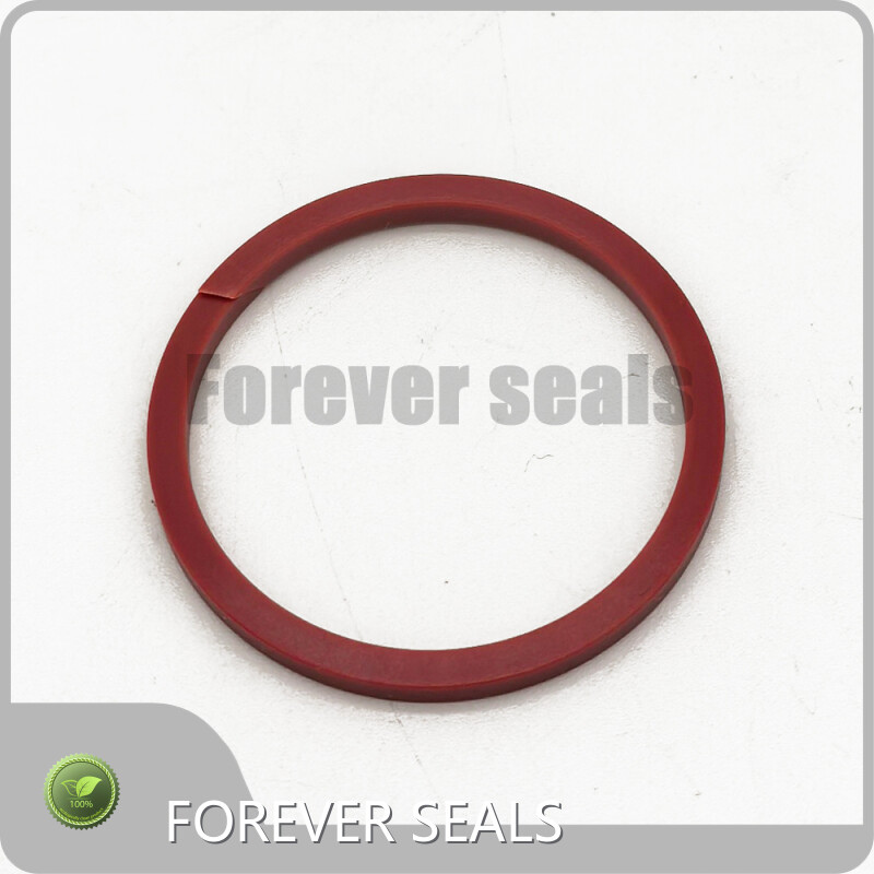Rubber Seal Ring Manufacturers Hydraulic Seals Wholesale - FOREVER SEALS-1 1