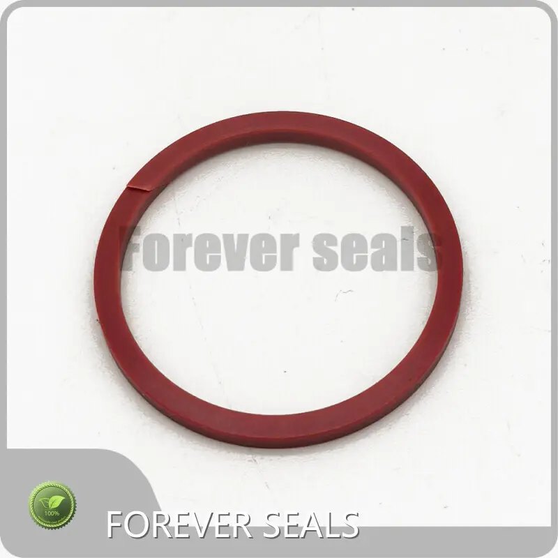 Rubber Seal Ring Manufacturers Hydraulic Seals Wholesale - FOREVER SEALS-1 1