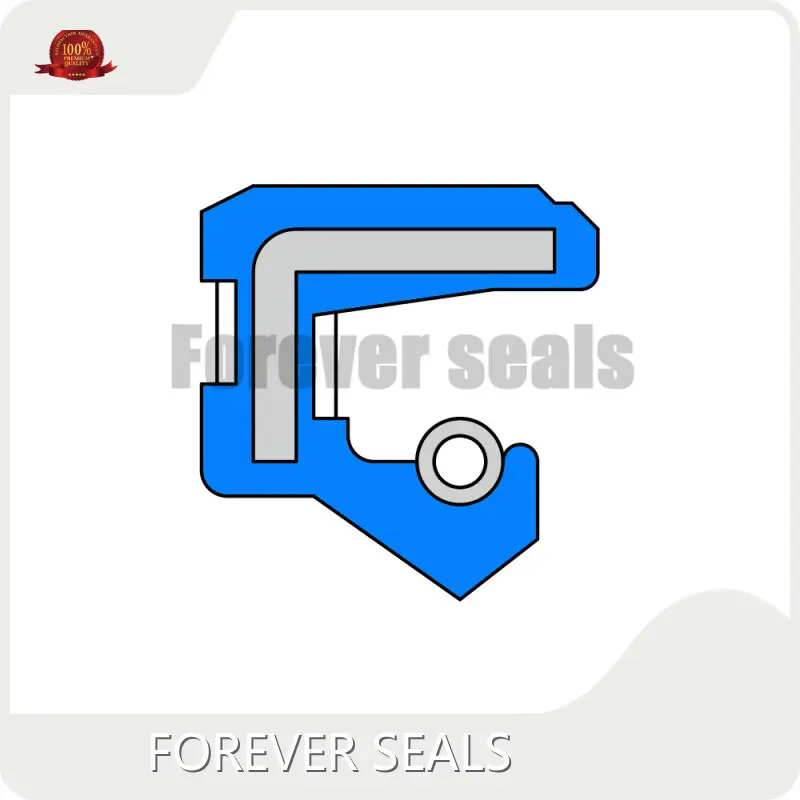 Custom Oil Seals Oil Seals Wholesale - FOREVER SEALS 1